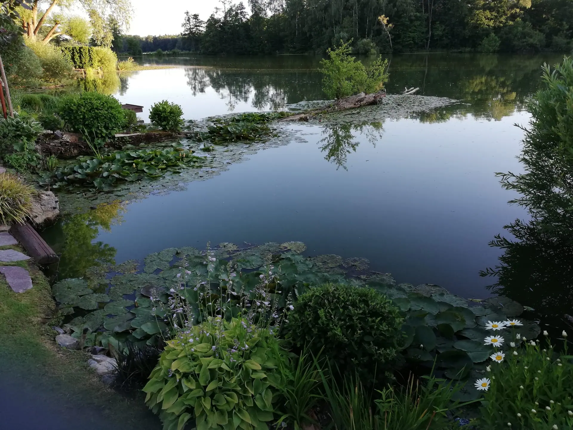 Realizace zahrady, Starý Plzenec — fotografie 6