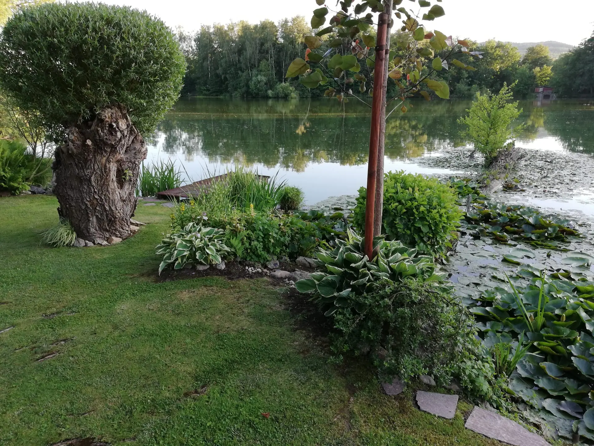 Realizace zahrady, Starý Plzenec — fotografie 8
